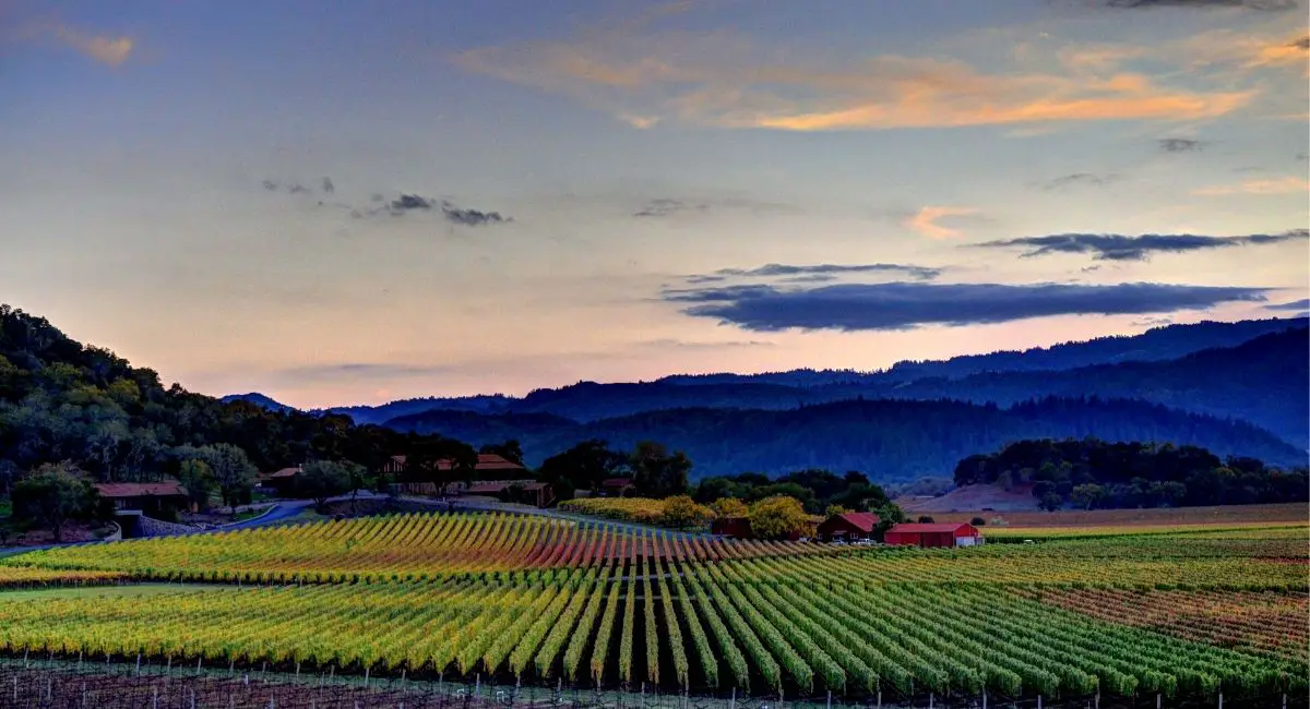 Wine-seasons-in-Napa-Valley